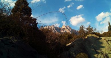 Экскурсии в Массандре по Крыму 2020 Экскурсии в Массандре по Крыму 2020